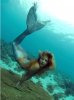 mermaid.jpg
