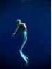 mermaid_sea.jpg