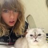 Olivia Benson_n_Taylor Alison Swift.jpg